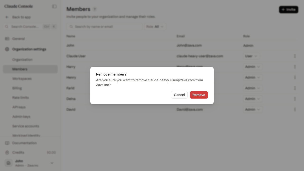 The Remove member? confirmation dialog naming the member's email and organization